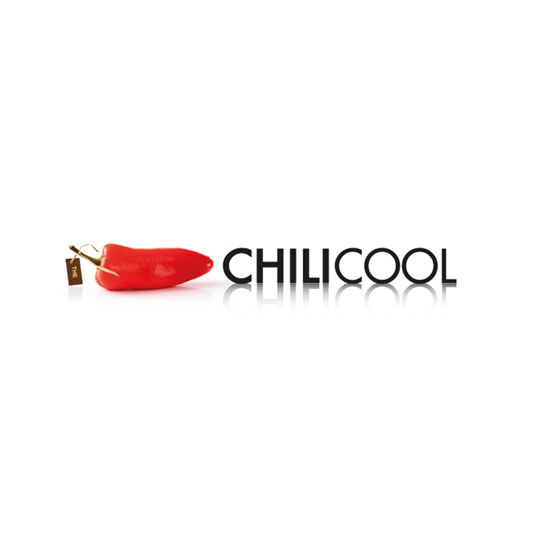 THECHILICOOL.COM