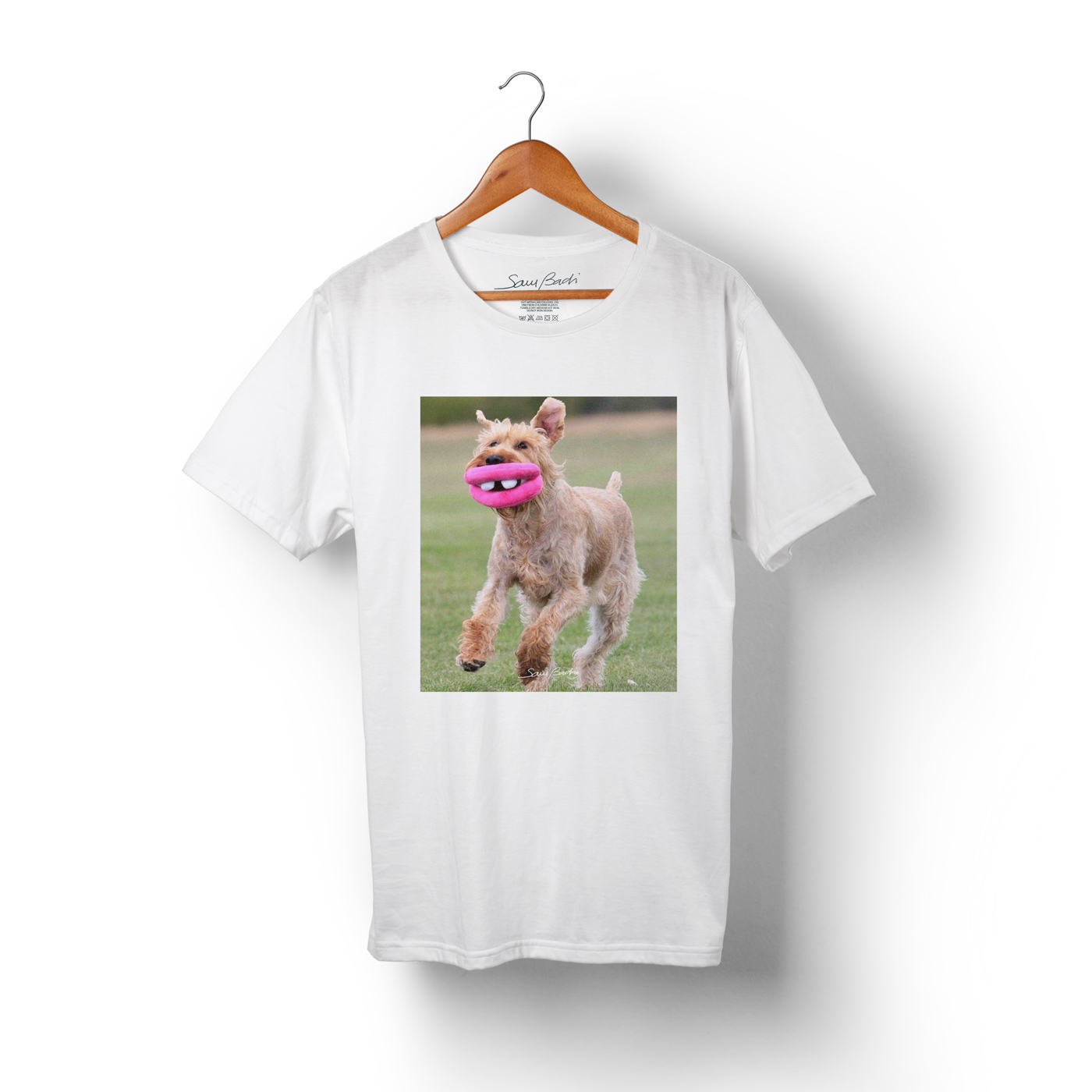 smail dog smile smiling meme bulscit urban elements funny